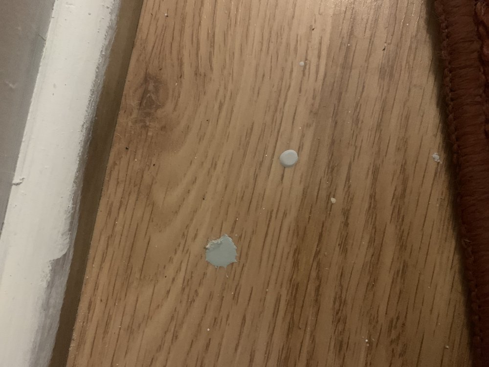 CERTAPRO PAINTERS OF BLOOMINGTONPEORIA, IL Updated August 2024 27