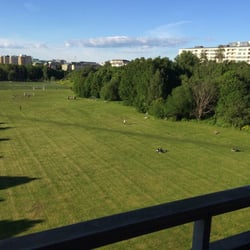 Huvudstafältet