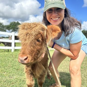 Milk & Honey Ranch - Penny!!! - Bed & Breakfast Near Me - Burton, Texas Milk & Honey Ranch - Penny!!! - Bed & Breakfast Near Me - Burton, Texas