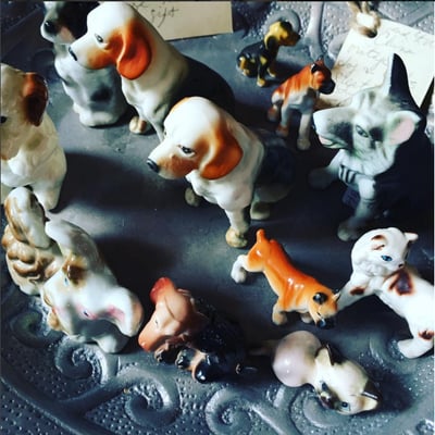 Portland Flea-for-All by null