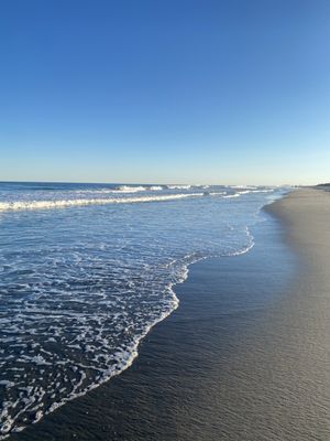 Stone Harbor by null