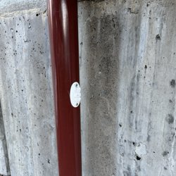 Bunny is hiding under an overpass