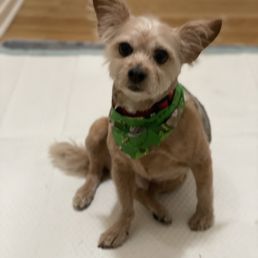 Roo Roo post spa day! So happy!