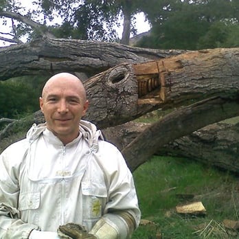 Guerilla Beekeepers - We perform commercial , residential and occasionally rural rescues. - Pest Control Near Me - Santa Ana, California Guerilla Beekeepers - We perform commercial , residential and occasionally rural rescues. - Pest Control Near Me - Santa Ana, California