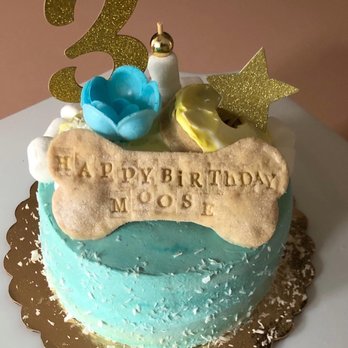 Dog Eat Cake - Bakeries Near Me - Boston, Massachusetts