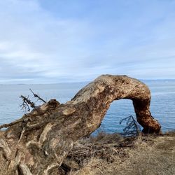 Coyote Point Recreation Area