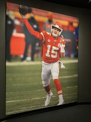 Pro Football Hall of Fame by null