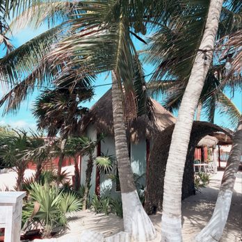 Cancun Adventures - Private beach. - Tours Near Me - Playa del Carmen, ROO
