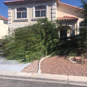 Treepro - When the wind did this... - Tree Services Near Me - Las Vegas, Nevada Treepro - When the wind did this... - Tree Services Near Me - Las Vegas, Nevada