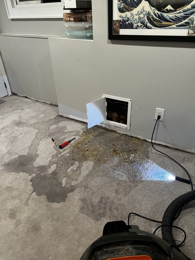 Slide of Drain Kings