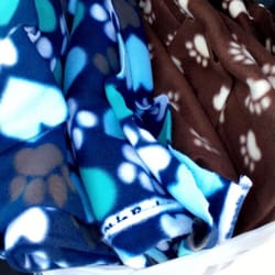JOANN Fabric and Crafts - The fabric that I bought.