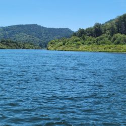 Klamath River Jet Boat Tours - One of the views from the trip upriver. We saw a bear, deer, Bald Eagles and other birds.
