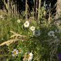 Photo of Chehalem Ridge Nature Park