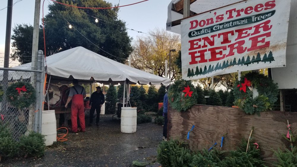 DON’S TREES 14 Photos & 10 Reviews 399 Entrada Dr, Novato