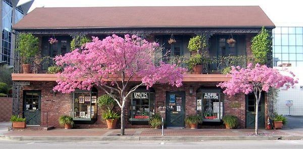 ABRIL Bookstore by null