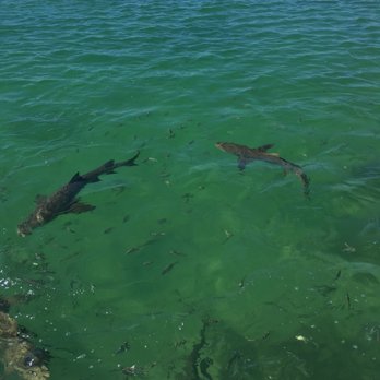 Key West Extreme Adventures - Boating Near Me - Key West, Florida