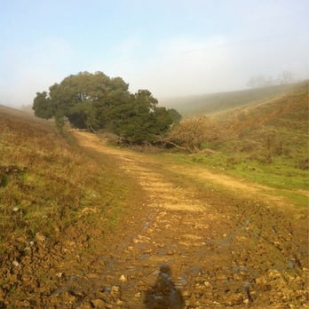 Briones Regional Park - Parks Near Me - Martinez, California Briones Regional Park - Parks Near Me - Martinez, California