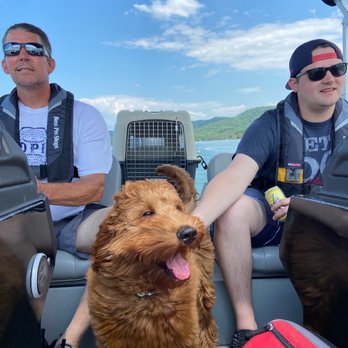 Highlands Australian Cobberdogs - Pet dog - Pet Breeders Near Me - Elizabeth, Colorado Highlands Australian Cobberdogs - Pet dog - Pet Breeders Near Me - Elizabeth, Colorado
