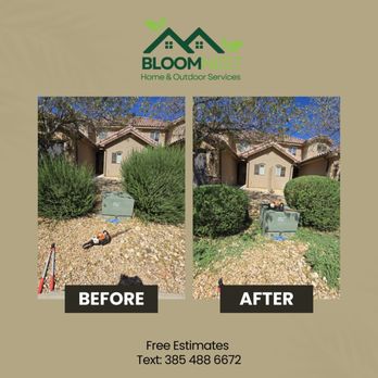 BloomNest - Professional yard cleanup and shrub trimming service. Simple upgrades make a big difference. - Artificial Turf Near Me - Cottonwood Heights, Utah BloomNest - Professional yard cleanup and shrub trimming service. Simple upgrades make a big difference. - Artificial Turf Near Me - Cottonwood Heights, Utah
