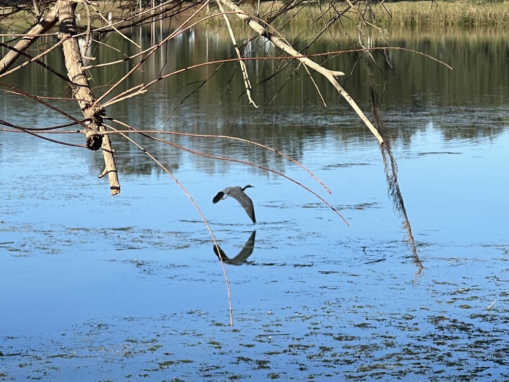 Lake Davis Park Image