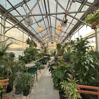 Creature's Plants and Coffee - Coffee & Tea Near Me - Los Angeles, California