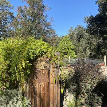 Queen's Inn by the River - Entrance to beer garden. Live music at night - Wine Bars Near Me - Oakhurst, California Queen's Inn by the River - Entrance to beer garden. Live music at night - Wine Bars Near Me - Oakhurst, California