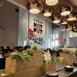 Urban Hot Pot - Decor