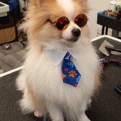 Bark Square