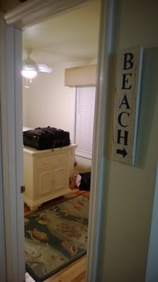 The Colonnade Inn by null