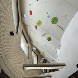 Schimelpfenig Library