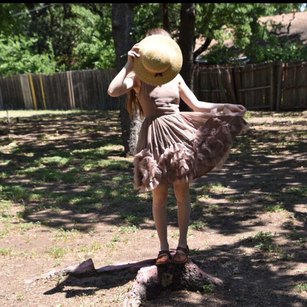 Milam Park - Found a good stump! - Parks Near Me - Denton, Texas Milam Park - Found a good stump! - Parks Near Me - Denton, Texas