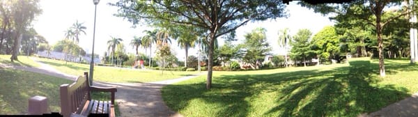 Mount Emily Park by null