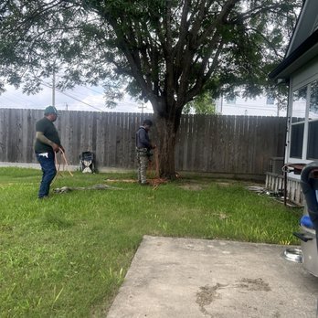 C.I.R Tree Service - Tree Services Near Me - Houston, Texas C.I.R Tree Service - Tree Services Near Me - Houston, Texas
