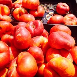 City Hall Farmers Market