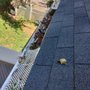 Photo of Gutter Aid services