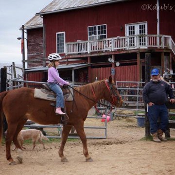Secret Passage Ranch by null