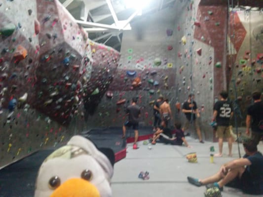 Santa Barbara Rock Gym by null