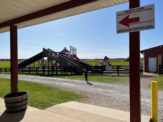Chaney's Dairy Barn by null