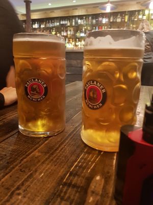 Beer & Bird by null