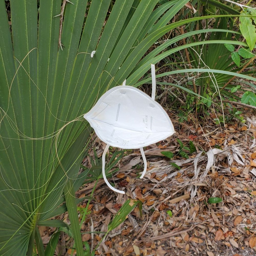 Yamato Scrub Natural Area - Don't litter! - Hiking Near Me - Boca Raton, Florida Yamato Scrub Natural Area - Don't litter! - Hiking Near Me - Boca Raton, Florida