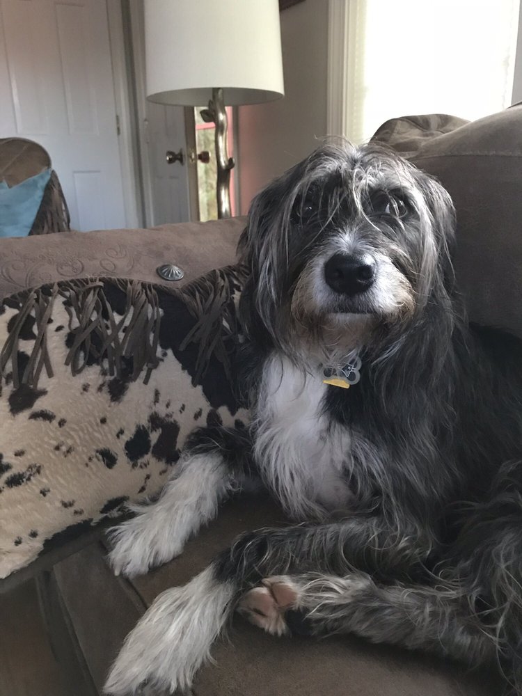 BOW WOW BATHHOUSE Updated July 2024 203 Long Plain Rd, Whately