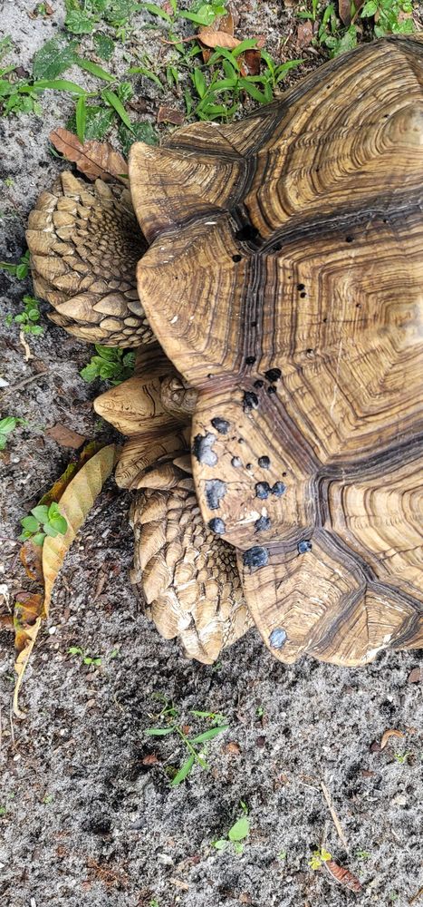 Slide of DM Roofing Company