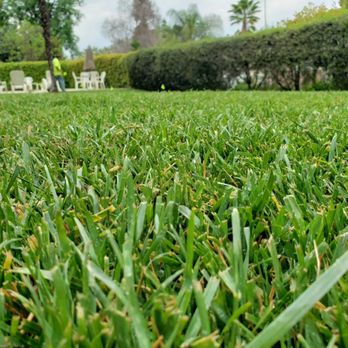 Complete Landscape - a lawn with a lawn chair in the background - Landscaping Near Me - Calimesa, California Complete Landscape - a lawn with a lawn chair in the background - Landscaping Near Me - Calimesa, California