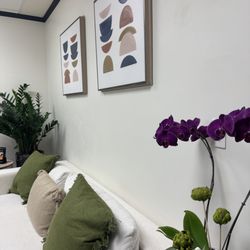 Morpho Medical Aesthetics - Sofa