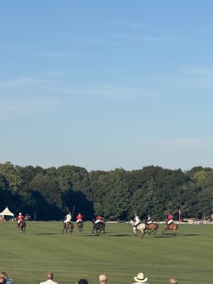 Newport Polo by null