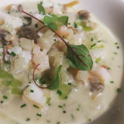 The Classroom - Smoked haddock and shellfish chowder with parsley oil