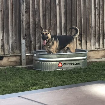 Tractor Supply - One happy doggie! 2W x 4L x 1H galvanized trough - Pet Stores Near Me - Dripping Springs, Texas