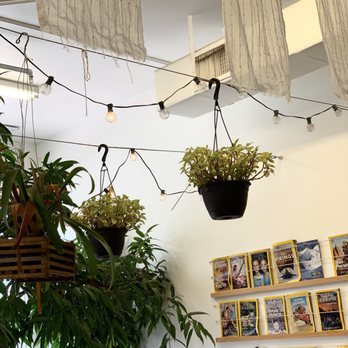 Under the Mango Tree - Hang Loose - Coffee & Tea Near Me - Miami Beach, Florida Under the Mango Tree - Hang Loose - Coffee & Tea Near Me - Miami Beach, Florida
