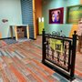 Ripley’s Illusion Lab