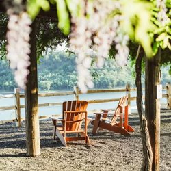 Langtry Farms - Relax under the Wisteria. Photo by Gypsy Love Photography